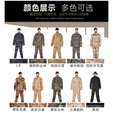 Camouflage Uniform Amry